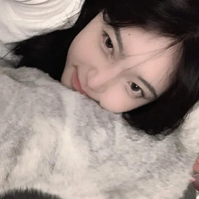 行动日